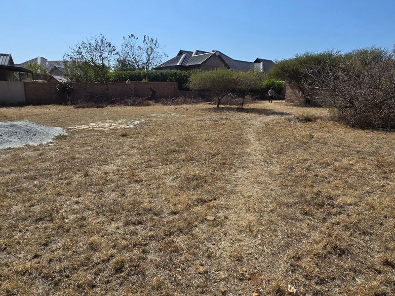 A view of a vacant residential plot featuring dry grass, perimeter brick walls, and established trees, offering a blank canvas for development.