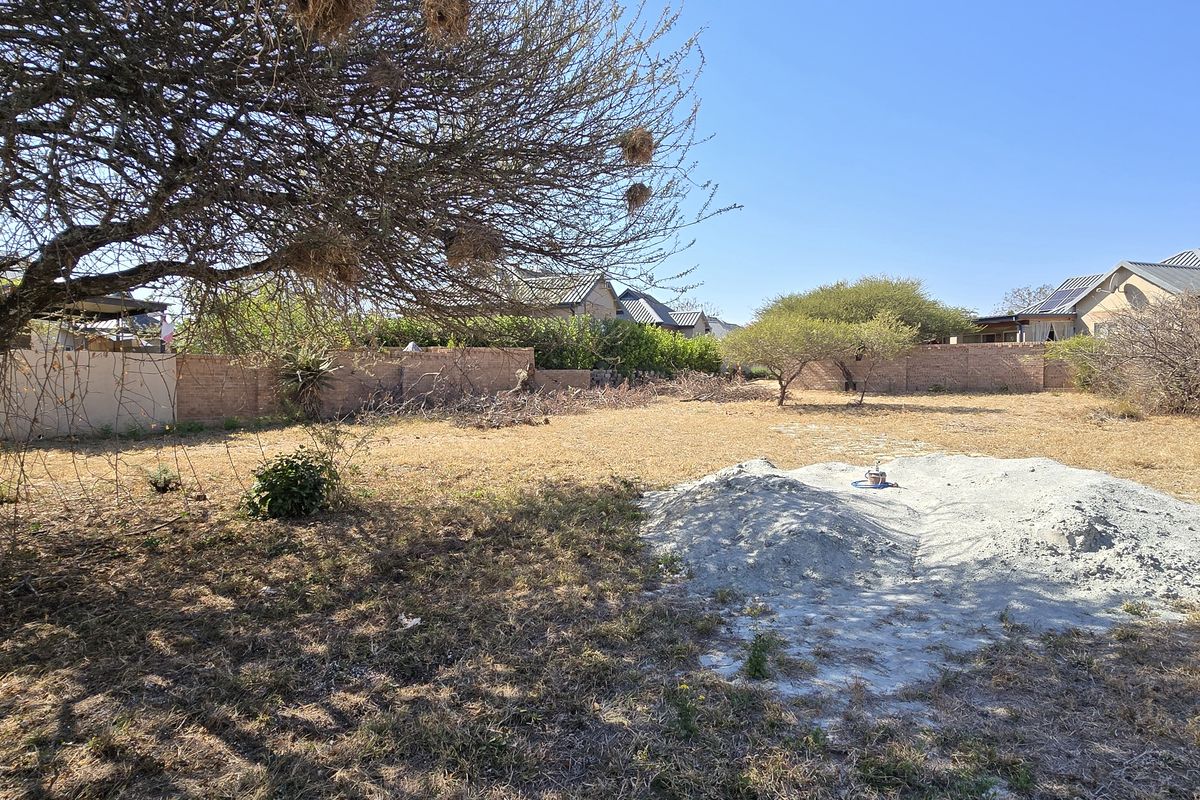 A vacant residential plot featuring dry grass, mature trees, and perimeter brick boundary walls, offering a blank canvas for future development.