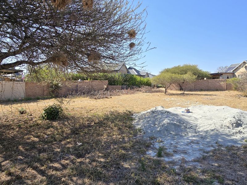 A vacant residential plot featuring dry grass, mature trees, and perimeter brick boundary walls, offering a blank canvas for future development.