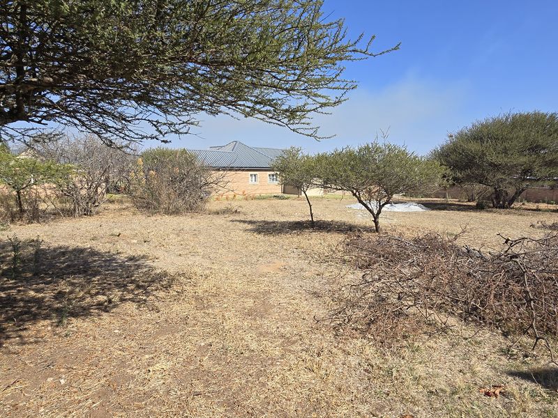 A vacant residential plot featuring established trees, perimeter brick walling, and open space, offering a blank canvas for future development.