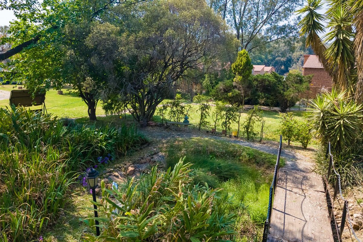 Endless opportunities await you on this piece of Land... - Photo 4