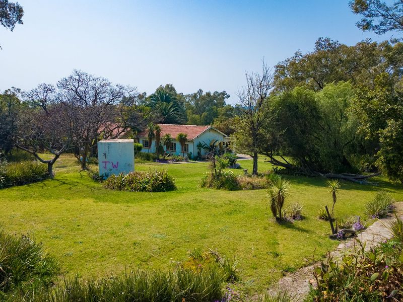 Endless opportunities await you on this piece of Land... - Photo 3