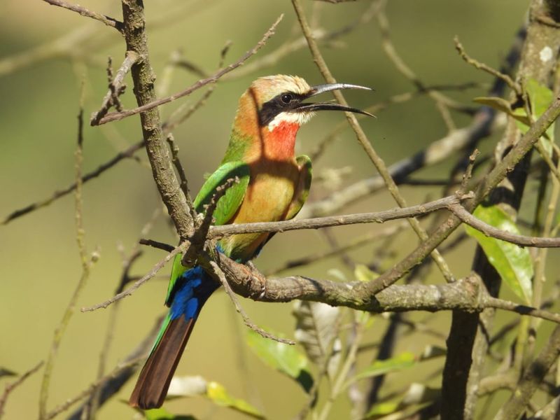 BRAND NEW MODERN AND AFFORDABLE DOUBLE STOREY HOME - Photo 7