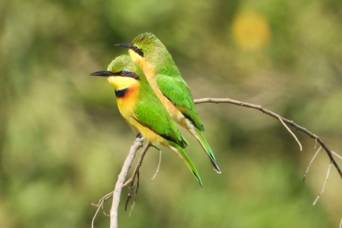 BRAND NEW MODERN AND AFFORDABLE DOUBLE STOREY HOME - Photo 4