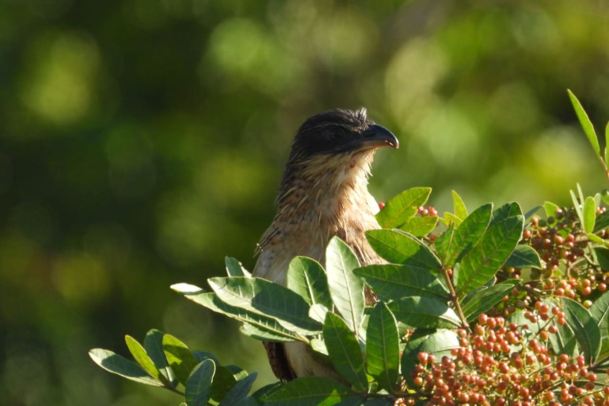 BRAND NEW MODERN AND AFFORDABLE DOUBLE STOREY HOME - Photo 5
