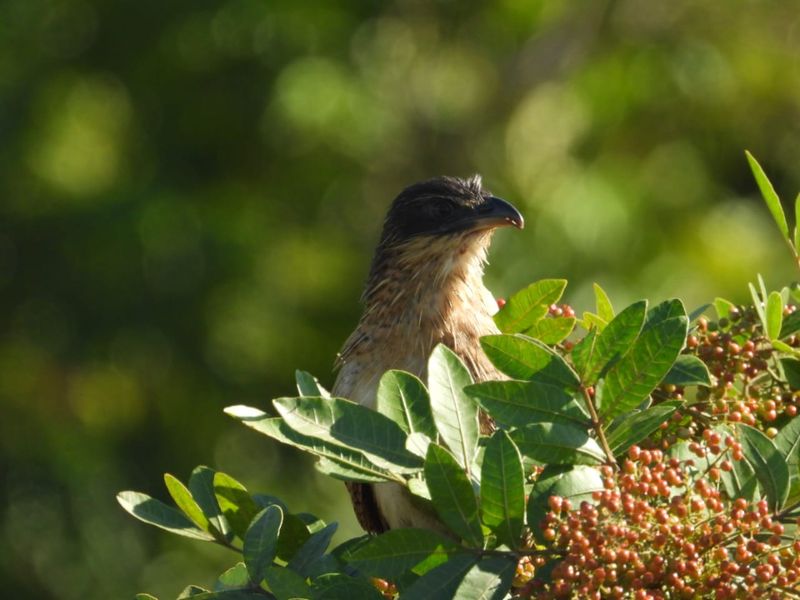 BRAND NEW MODERN AND AFFORDABLE DOUBLE STOREY HOME - Photo 5