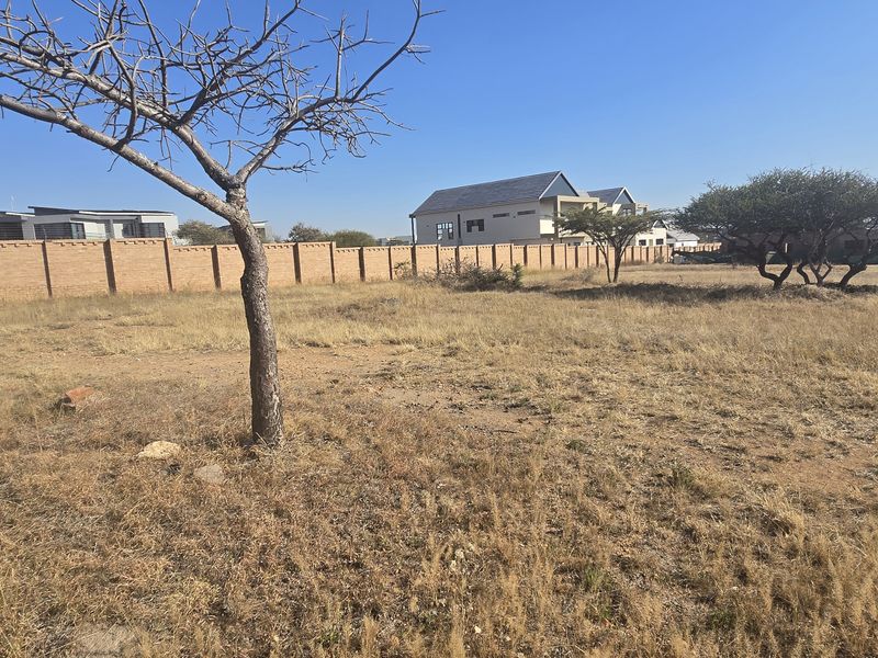 A vacant residential plot featuring dry grass, mature trees, and a perimeter brick boundary wall in a developed estate setting.