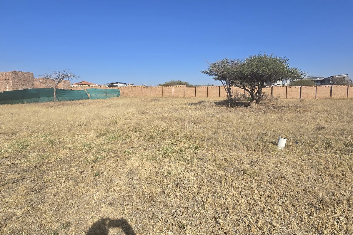 A vacant residential plot featuring dry grass, perimeter brick walling, and established trees, offering a clear space for future development.