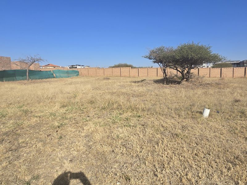 A vacant residential plot featuring dry grass, perimeter brick walling, and established trees, offering a clear space for future development.