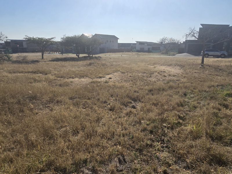 A vacant residential plot of land featuring dry grass, scattered trees, and surrounding residential development in a suburban estate setting.