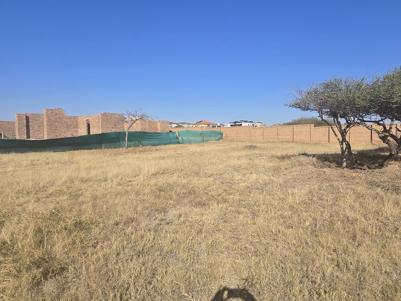 A vacant residential plot featuring dry grass, mature trees, and a perimeter brick wall, offering a clear space for future development.