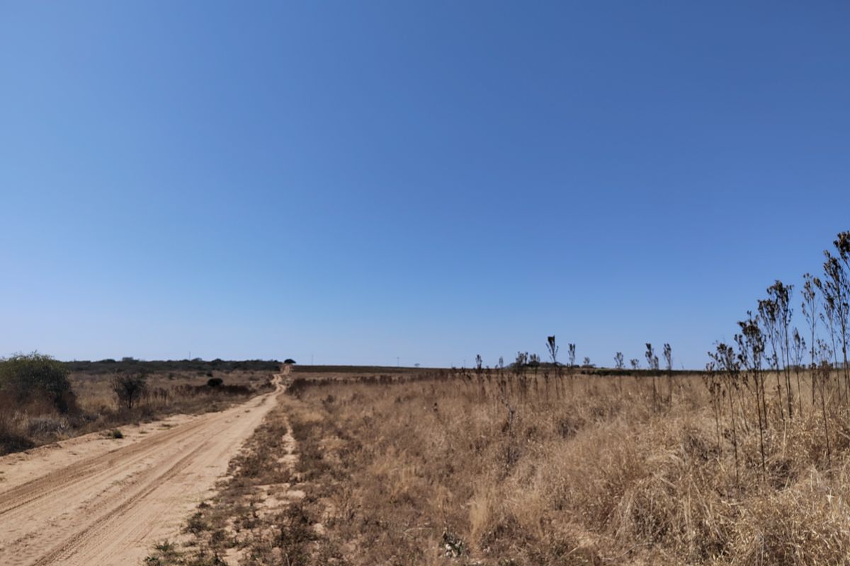 A wide-angle view of the expansive farm landscape featuring a dirt access road stretching across the open veld under a clear blue sky.