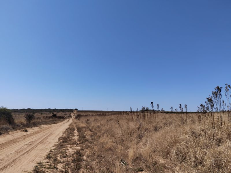 A wide-angle view of the expansive farm landscape featuring a dirt access road stretching across the open veld under a clear blue sky.