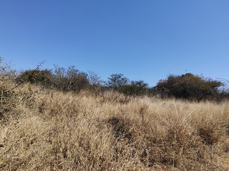 An expansive view of the natural landscape featuring dry grassland and indigenous shrubs on the farm property.