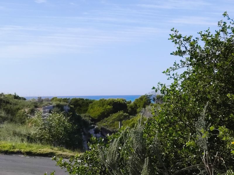 Well-Positioned Vacant Stand - Photo 4