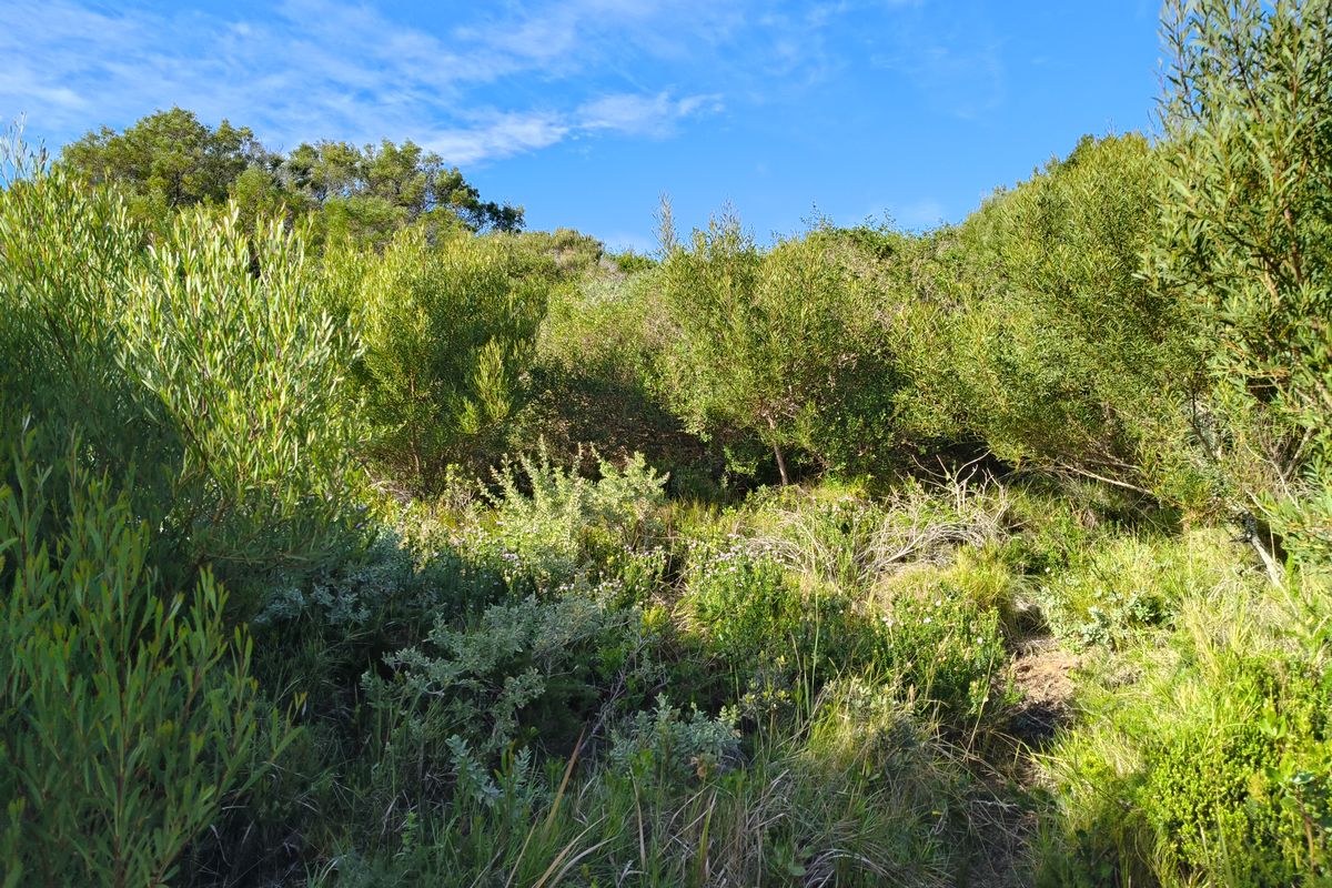 Well-Positioned Vacant Stand - Photo 2