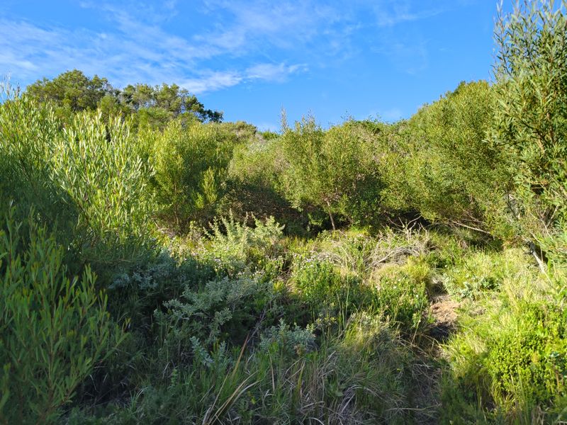 Well-Positioned Vacant Stand - Photo 2
