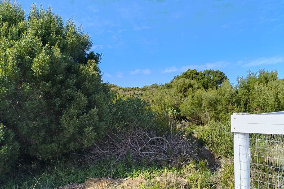 Well-Positioned Vacant Stand - Photo 3