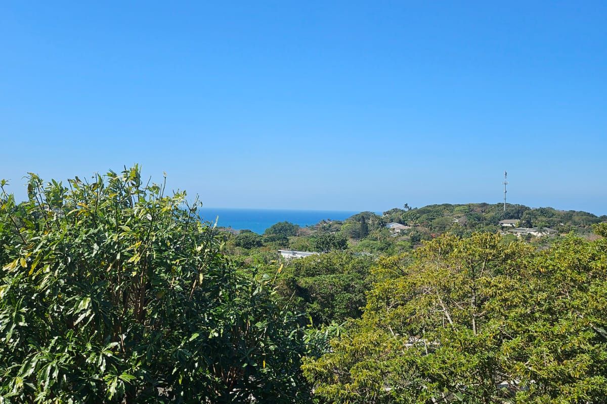 Modern 2-Bedroom Forest Apartment in Dunkirk Estate - Photo 3
