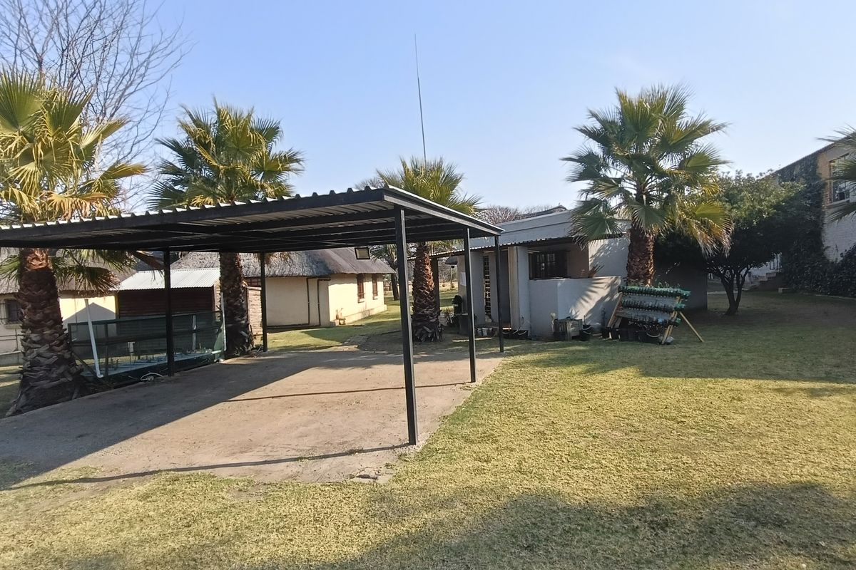 A spacious outdoor area featuring a metal-framed carport structure, established palm trees, and surrounding lawn space on a farm property.