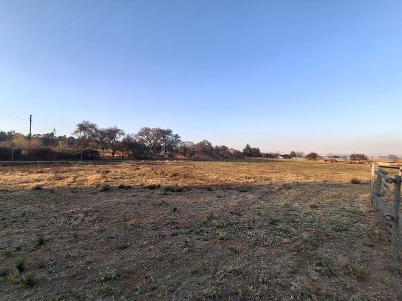 IMMACULATE 8HA HORSE RANCH ON THE OUTSKIRTS OF FALCON RIDGE WITH 4 WELL KEPT FLATLETS - Photo 10