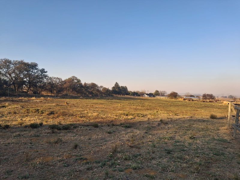 IMMACULATE 8HA HORSE RANCH ON THE OUTSKIRTS OF FALCON RIDGE WITH 4 WELL KEPT FLATLETS - Photo 7