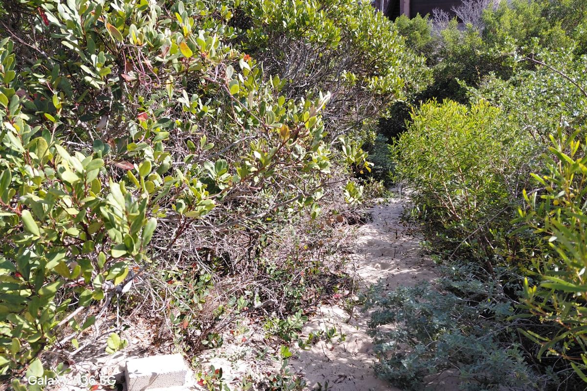 VACANT LAND  PRIME POSITION PARADISE BEACH - Photo 4