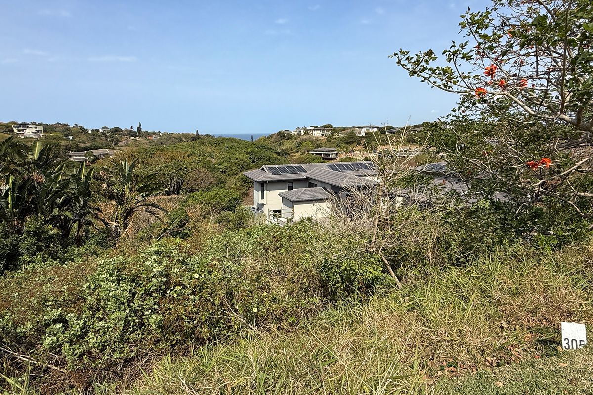 Prime Coastal Stand in Brettenwood – 1,432 m2 of Opportunity - Photo 4