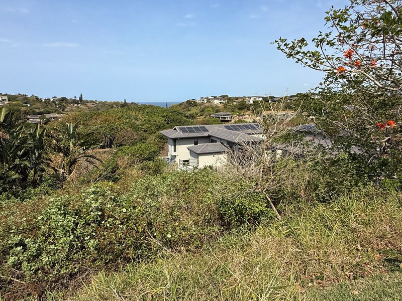 Prime Coastal Stand in Brettenwood – 1,432 m2 of Opportunity - Photo 4