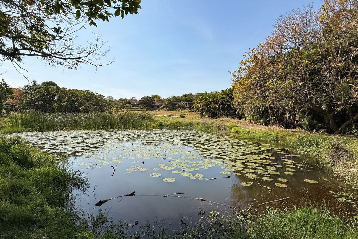 Prime, Level, Coastal Stand - Photo 5