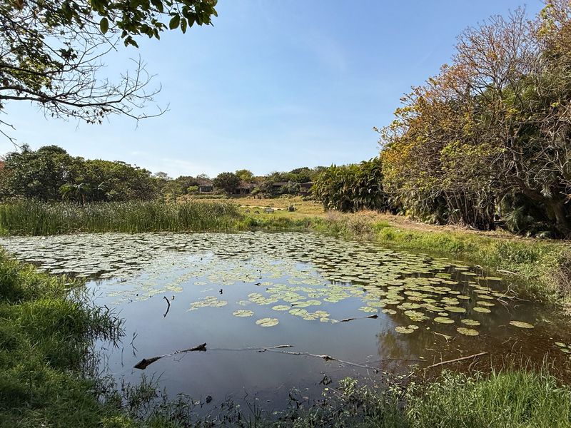 Prime, Level, Coastal Stand - Photo 5