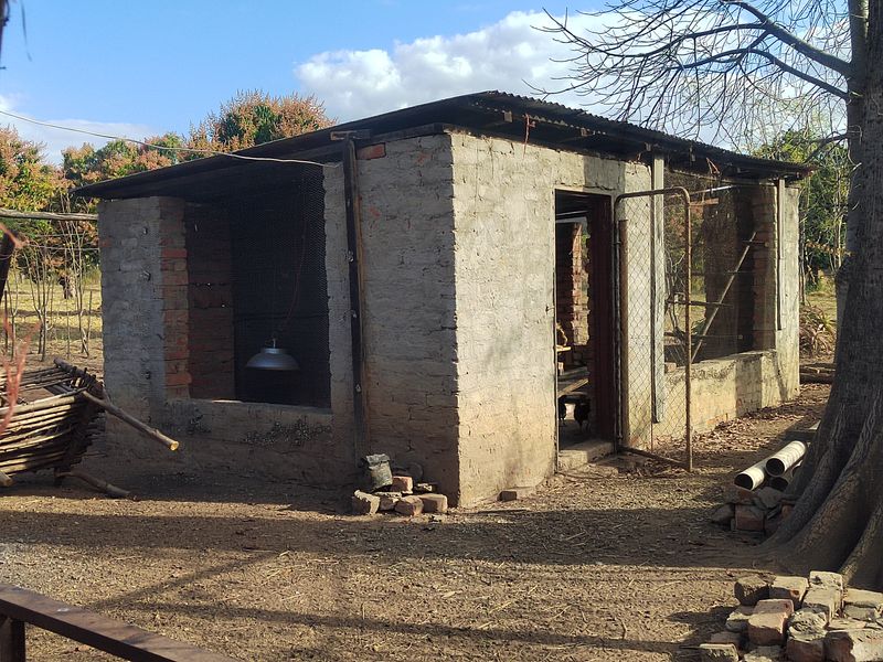 85,6HA VERSATILE BUSHVELD FARM FOR SALE IN THE TZANEEN AREA - Photo 10