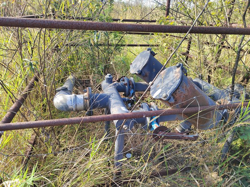 85,6HA VERSATILE BUSHVELD FARM FOR SALE IN THE TZANEEN AREA - Photo 9