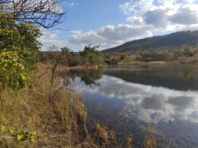 85,6HA VERSATILE BUSHVELD FARM FOR SALE IN THE TZANEEN AREA - Photo 8