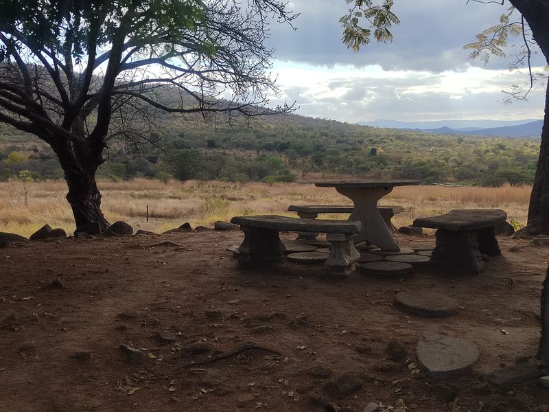 85,6HA VERSATILE BUSHVELD FARM FOR SALE IN THE TZANEEN AREA - Photo 7