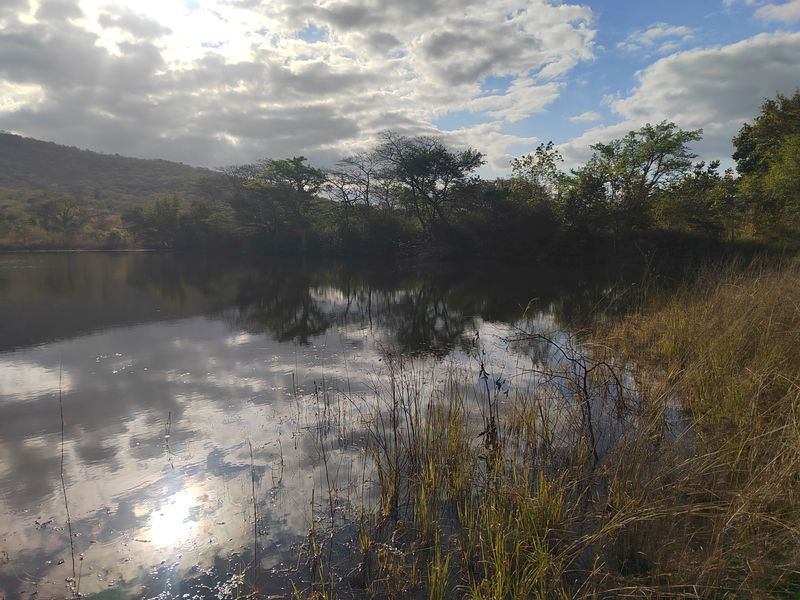 85,6HA VERSATILE BUSHVELD FARM FOR SALE IN THE TZANEEN AREA - Photo 6