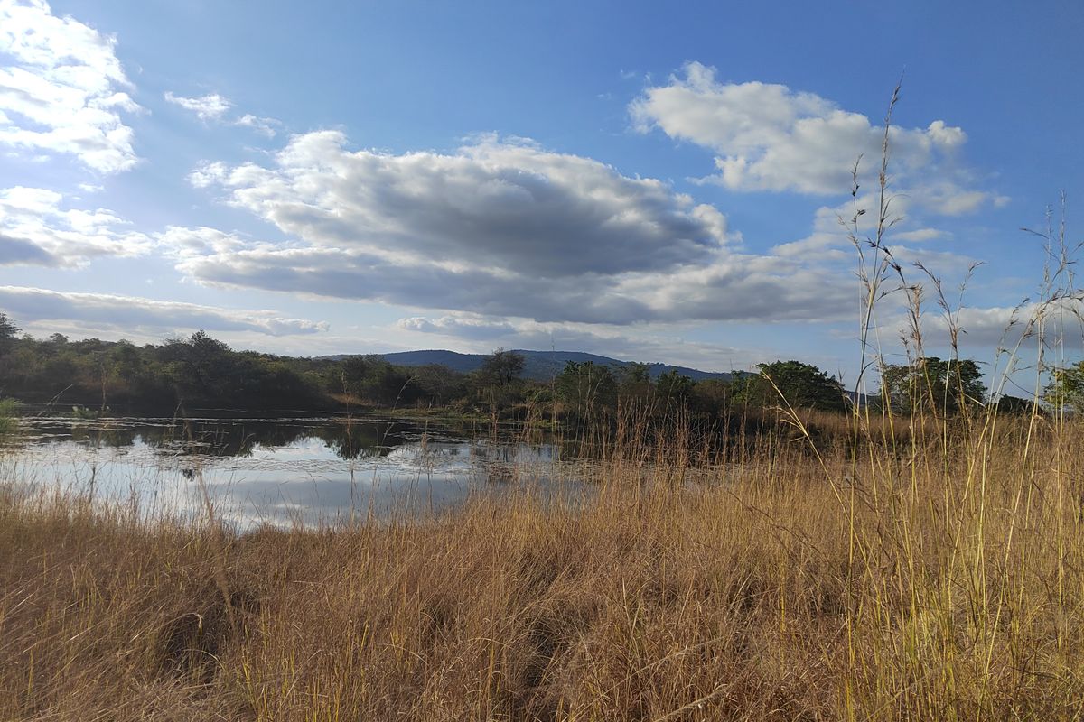 85,6HA VERSATILE BUSHVELD FARM FOR SALE IN THE TZANEEN AREA - Photo 2