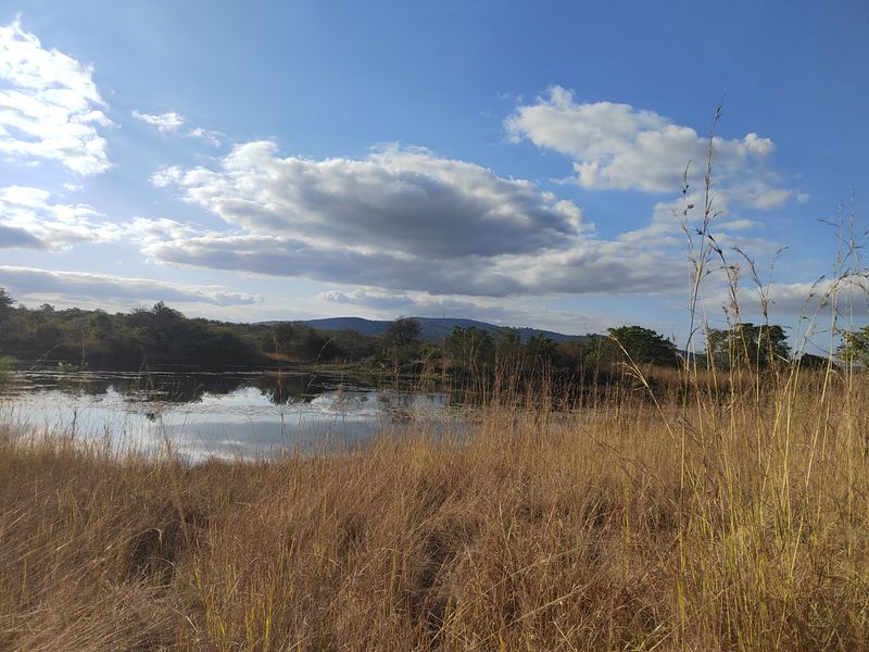 85,6HA VERSATILE BUSHVELD FARM FOR SALE IN THE TZANEEN AREA - Photo 2