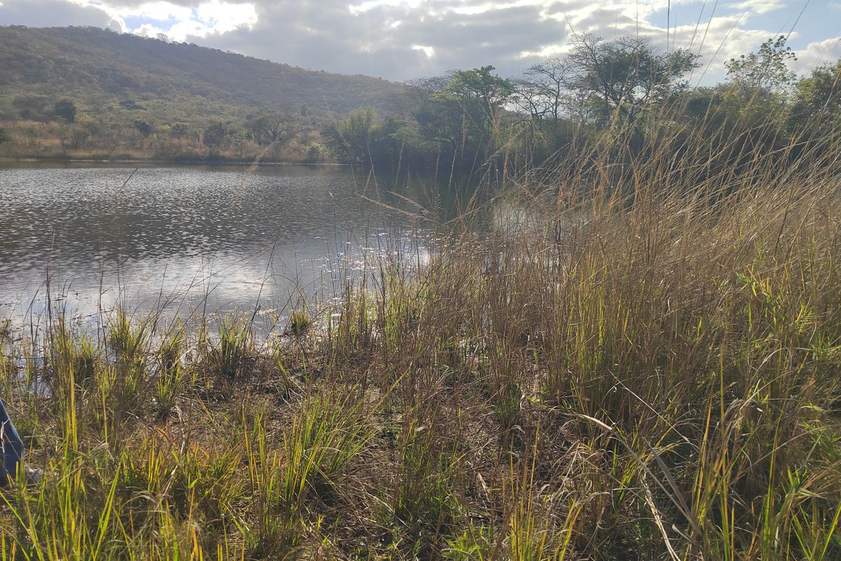 85,6HA VERSATILE BUSHVELD FARM FOR SALE IN THE TZANEEN AREA - Photo 5