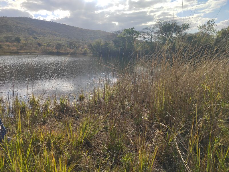 85,6HA VERSATILE BUSHVELD FARM FOR SALE IN THE TZANEEN AREA - Photo 5