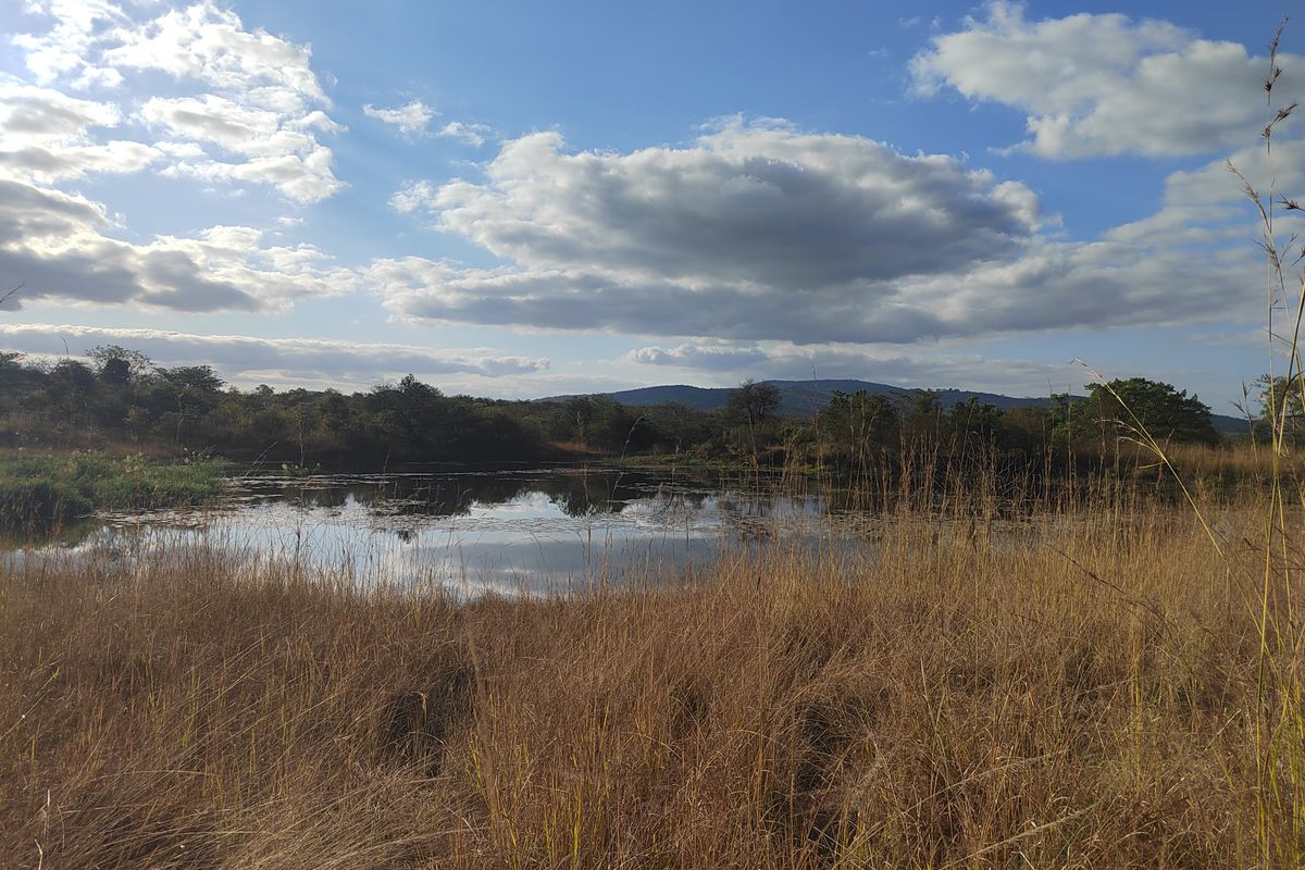 85,6HA VERSATILE BUSHVELD FARM FOR SALE IN THE TZANEEN AREA - Photo 3