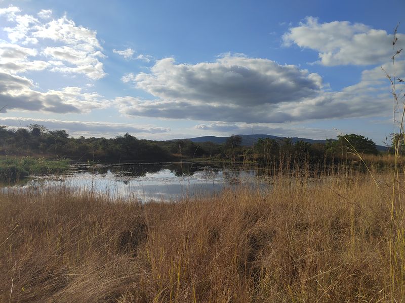 85,6HA VERSATILE BUSHVELD FARM FOR SALE IN THE TZANEEN AREA - Photo 3