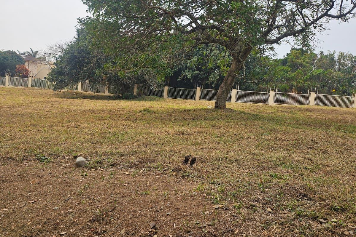 Plot Your Coastal Dream in Nkwazi Ridge – 1143sqm | R550 000 | No Transfer Duty! - Photo 2