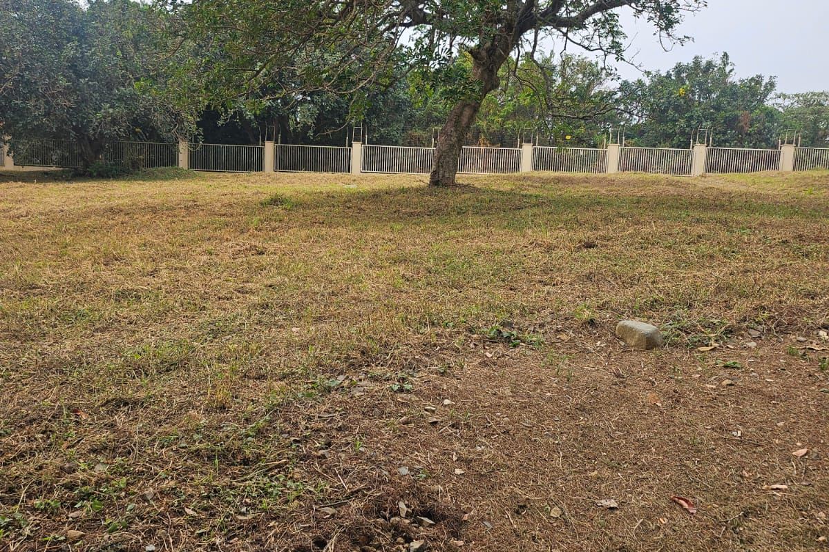 Plot Your Coastal Dream in Nkwazi Ridge – 1143sqm | R550 000 | No Transfer Duty! - Photo 5