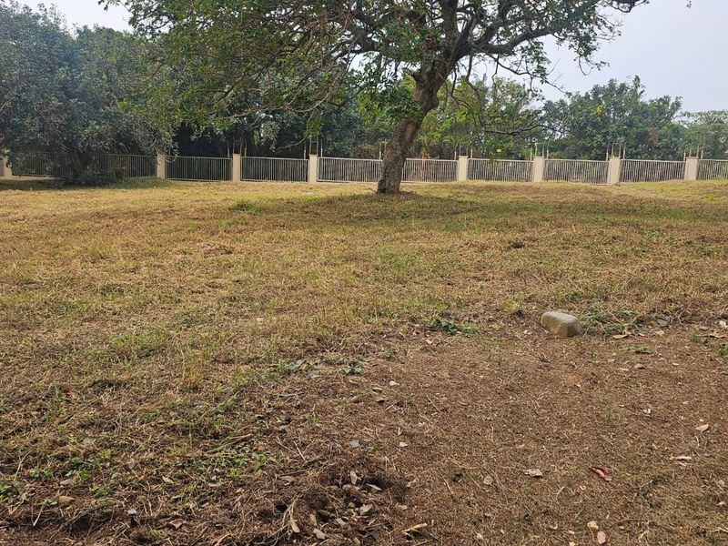 Plot Your Coastal Dream in Nkwazi Ridge – 1143sqm | R550 000 | No Transfer Duty! - Photo 5