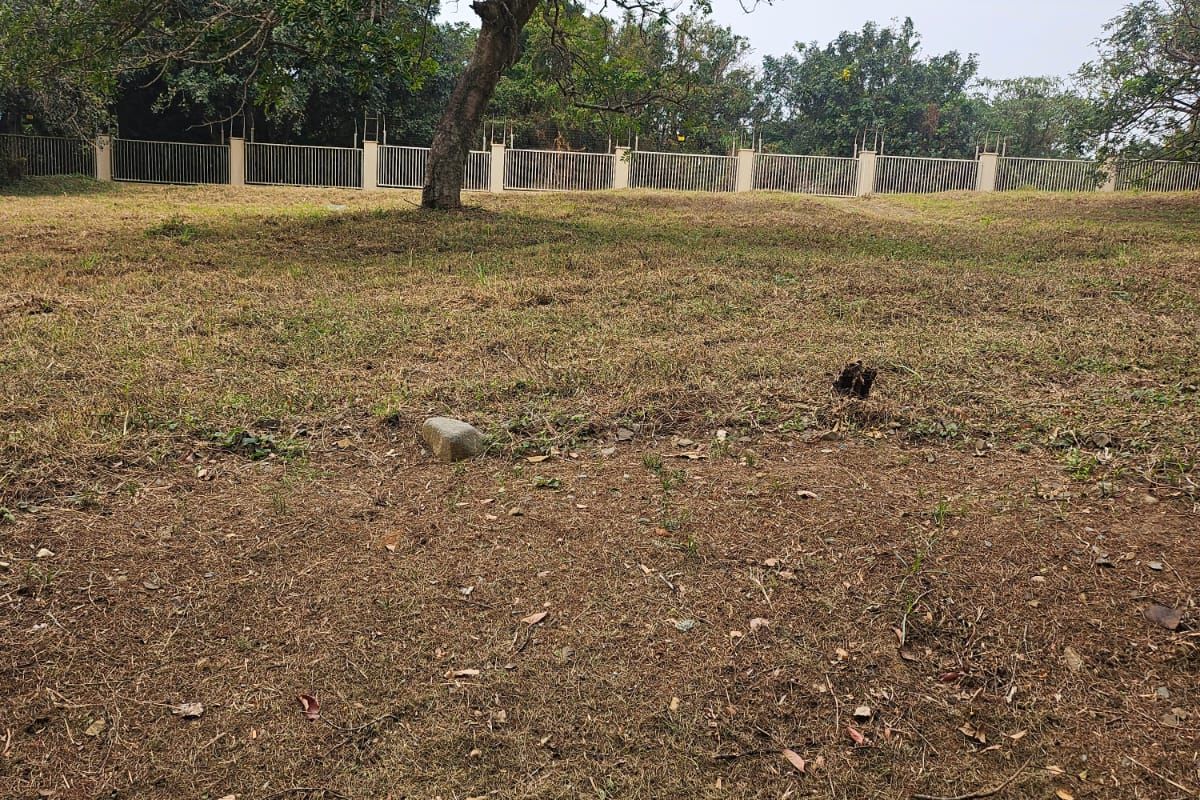 Plot Your Coastal Dream in Nkwazi Ridge – 1143sqm | R550 000 | No Transfer Duty! - Photo 3