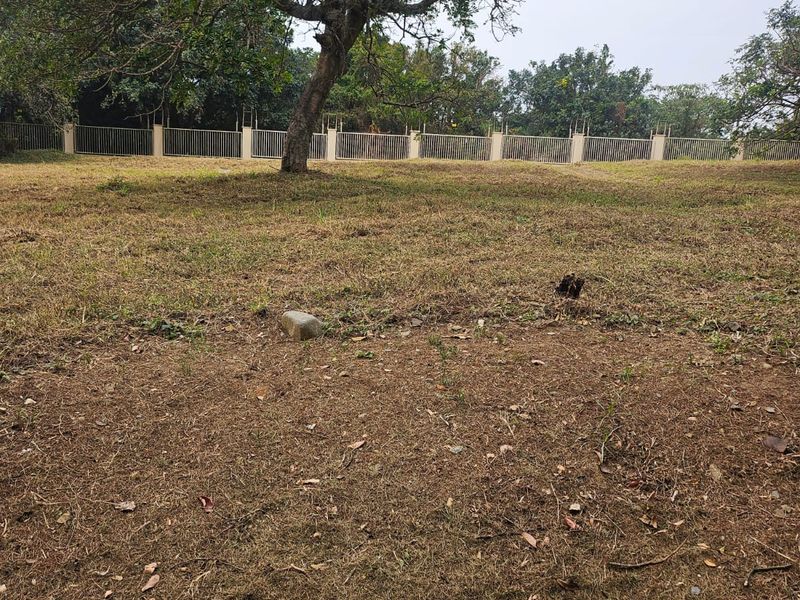 Plot Your Coastal Dream in Nkwazi Ridge – 1143sqm | R550 000 | No Transfer Duty! - Photo 3