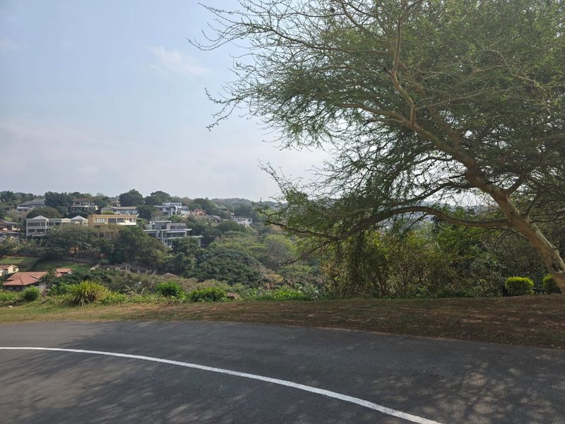Prime 1025m2 Vacant Stand in Central Ballito – Sea View Potential - Photo 10