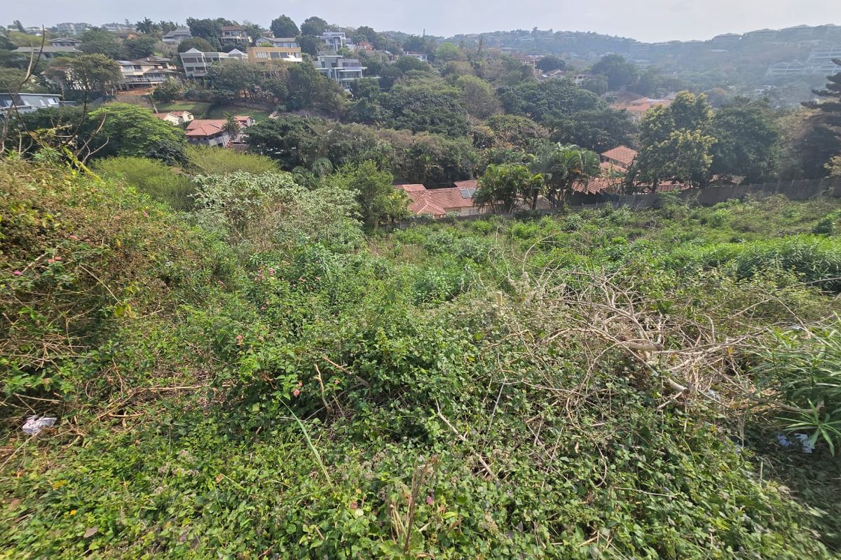 Prime 1025m2 Vacant Stand in Central Ballito – Sea View Potential - Photo 2