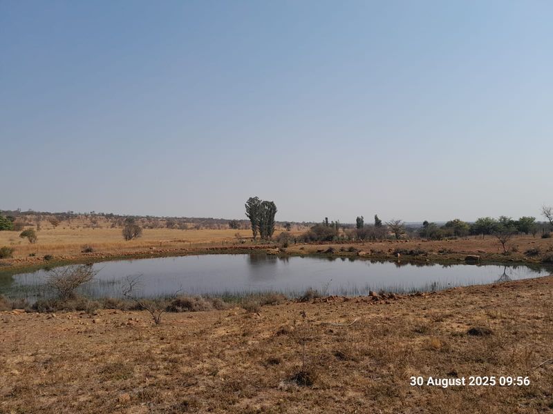 A scenic view of a natural farm dam surrounded by open veld and native vegetation.